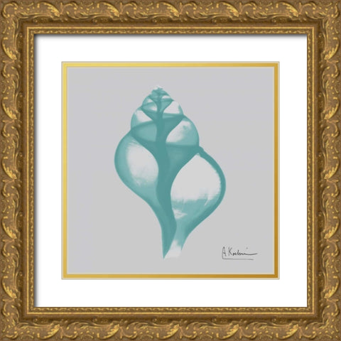 Aquifer Tulip Shell Gold Ornate Wood Framed Art Print with Double Matting by Koetsier, Albert