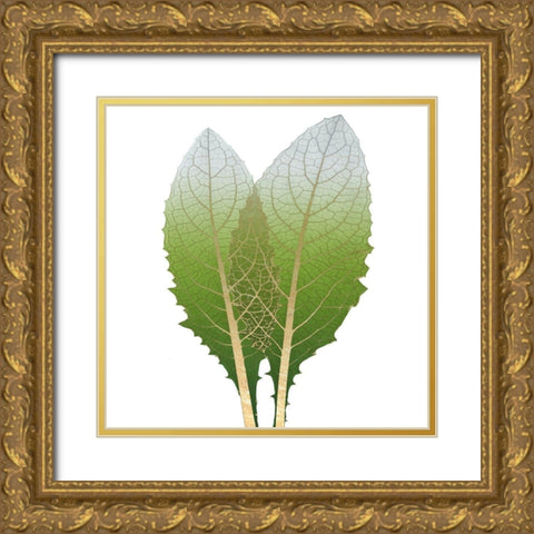 Golden Artichoke Gold Ornate Wood Framed Art Print with Double Matting by Koetsier, Albert