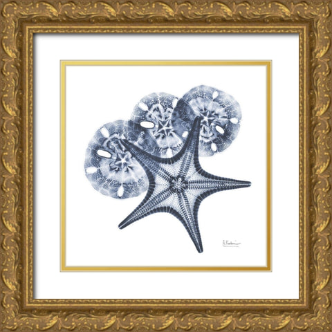 Indigo Starfish and Sand Dollar Gold Ornate Wood Framed Art Print with Double Matting by Koetsier, Albert