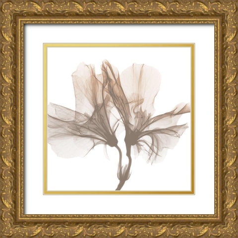 Dry Azalea 1 Gold Ornate Wood Framed Art Print with Double Matting by Koetsier, Albert