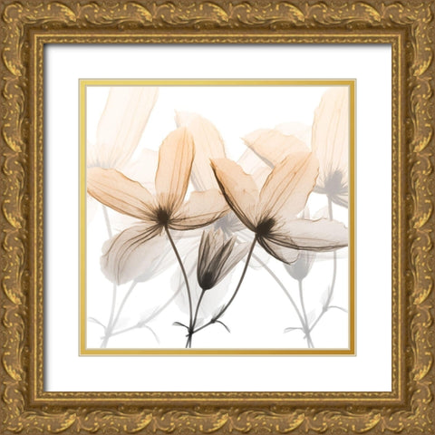 Bittersweet Clematis Gold Ornate Wood Framed Art Print with Double Matting by Koetsier, Albert