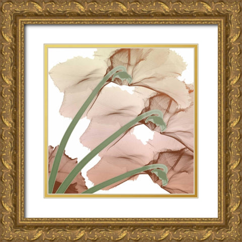 Peach Luster Cyclamen 1 Gold Ornate Wood Framed Art Print with Double Matting by Koetsier, Albert