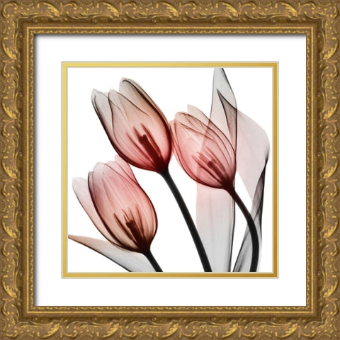 Splendid Tulips Gold Ornate Wood Framed Art Print with Double Matting by Koetsier, Albert