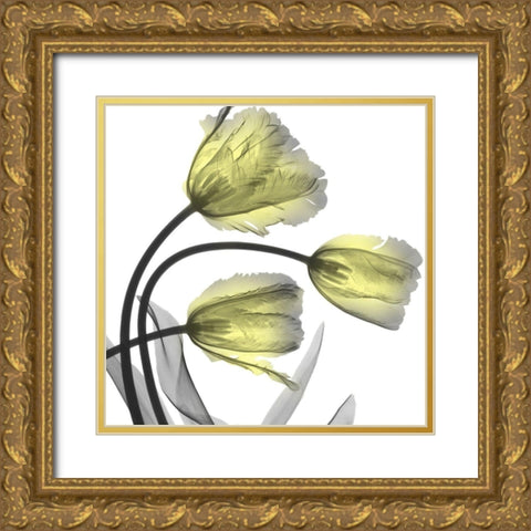 Glorious Tulips Gold Ornate Wood Framed Art Print with Double Matting by Koetsier, Albert