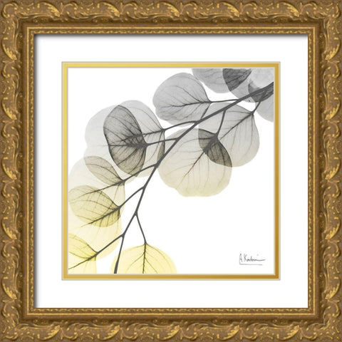 Brilliant Eucalyptus 1 Gold Ornate Wood Framed Art Print with Double Matting by Koetsier, Albert