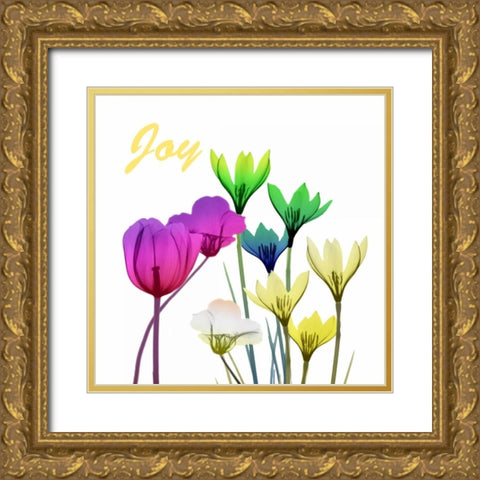 Floral Pop Joy Gold Ornate Wood Framed Art Print with Double Matting by Koetsier, Albert