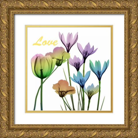 Floral Rainbow Love Gold Ornate Wood Framed Art Print with Double Matting by Koetsier, Albert