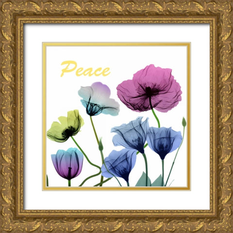 Floral Rainbow Peace Gold Ornate Wood Framed Art Print with Double Matting by Koetsier, Albert