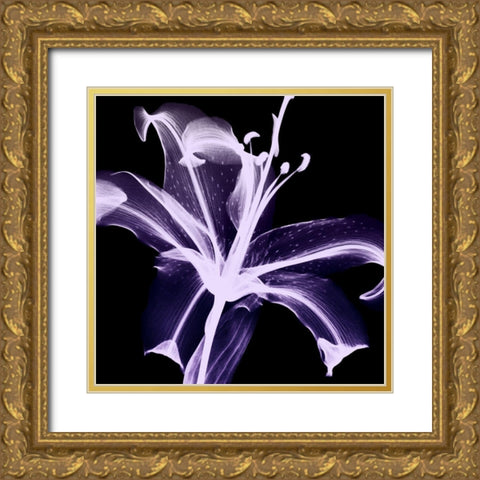 Violet Explosion 2 Gold Ornate Wood Framed Art Print with Double Matting by Koetsier, Albert