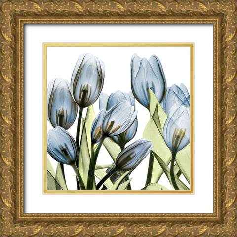 Tulip Blues 1 Gold Ornate Wood Framed Art Print with Double Matting by Koetsier, Albert