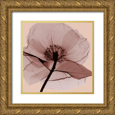 Poppy Love Gold Ornate Wood Framed Art Print with Double Matting by Koetsier, Albert