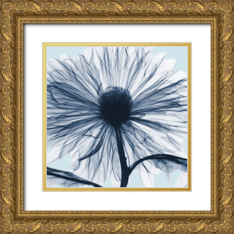 Chrysanthemum Blues Gold Ornate Wood Framed Art Print with Double Matting by Koetsier, Albert