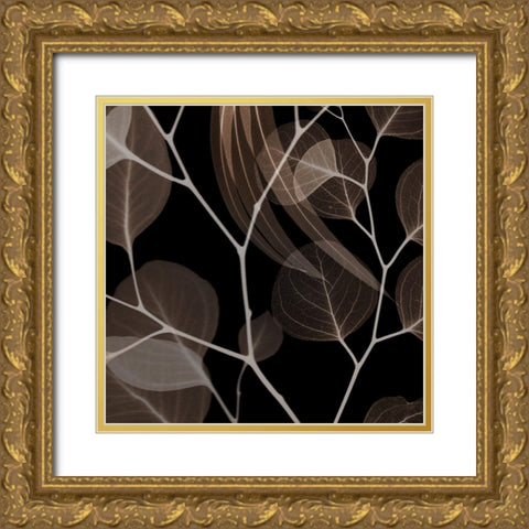 Chocolate Eucalyptus 1 Gold Ornate Wood Framed Art Print with Double Matting by Koetsier, Albert