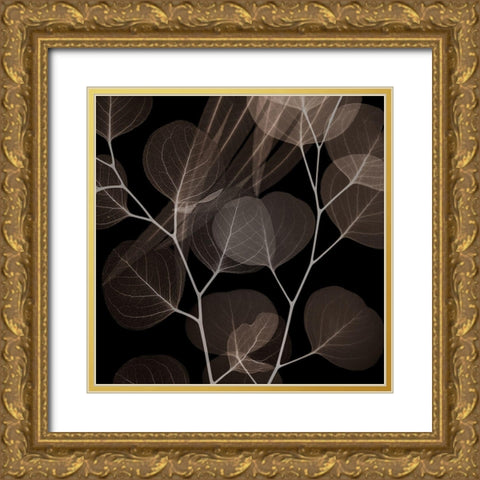 Chocolate Eucalyptus 2 Gold Ornate Wood Framed Art Print with Double Matting by Koetsier, Albert