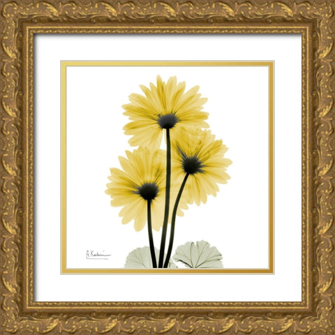 Golden Gerbera 2 Gold Ornate Wood Framed Art Print with Double Matting by Koetsier, Albert