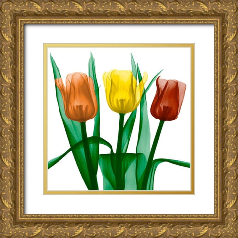 Jewel Embellished Tulips 2 Gold Ornate Wood Framed Art Print with Double Matting by Koetsier, Albert