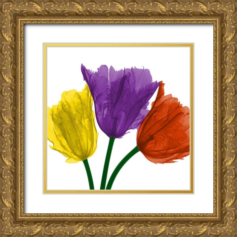 Shiny Jewel Tulips 1 Gold Ornate Wood Framed Art Print with Double Matting by Koetsier, Albert