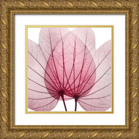 Brilliant Orchid Tree Gold Ornate Wood Framed Art Print with Double Matting by Koetsier, Albert