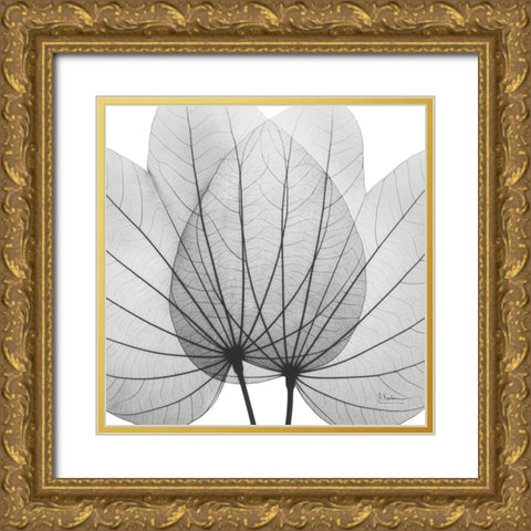 Orchid Tree BW Gold Ornate Wood Framed Art Print with Double Matting by Koetsier, Albert