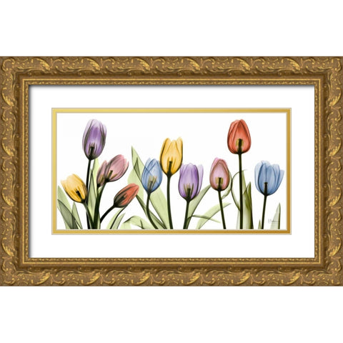 Tulipscape Gold Ornate Wood Framed Art Print with Double Matting by Koetsier, Albert