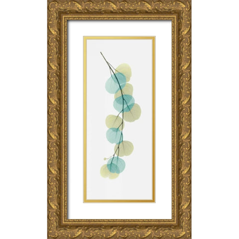 Citrus Eucalyptus Gold Ornate Wood Framed Art Print with Double Matting by Koetsier, Albert