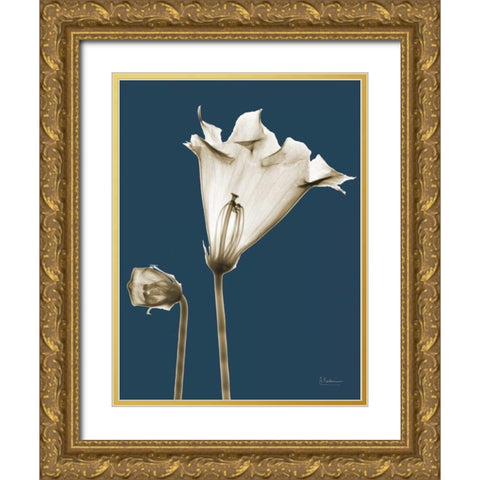 Gloxinia TOP Gold Ornate Wood Framed Art Print with Double Matting by Koetsier, Albert