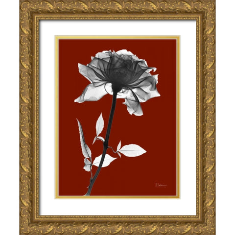 Red Rose Gold Ornate Wood Framed Art Print with Double Matting by Koetsier, Albert