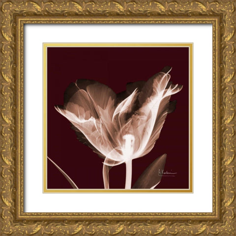 Tabitha Tulip Single Gold Ornate Wood Framed Art Print with Double Matting by Koetsier, Albert