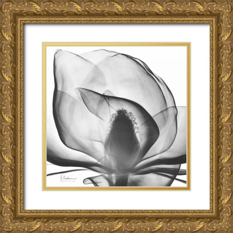 Magnolia A43 Gold Ornate Wood Framed Art Print with Double Matting by Koetsier, Albert