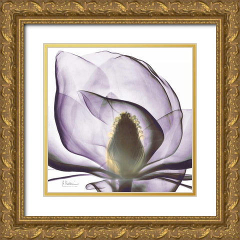 Precious Orchid in Purple Close Gold Ornate Wood Framed Art Print with Double Matting by Koetsier, Albert