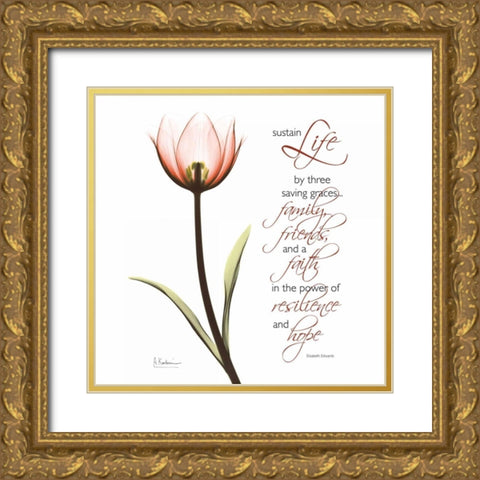 Swaying Tulip Pink - Life Gold Ornate Wood Framed Art Print with Double Matting by Koetsier, Albert