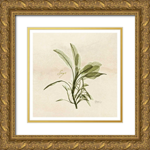 Sage in Bloom Gold Ornate Wood Framed Art Print with Double Matting by Koetsier, Albert