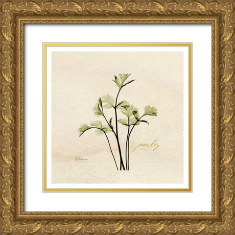 Parsley in Bloom Gold Ornate Wood Framed Art Print with Double Matting by Koetsier, Albert