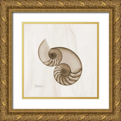 Brown Shell Pair Gold Ornate Wood Framed Art Print with Double Matting by Koetsier, Albert