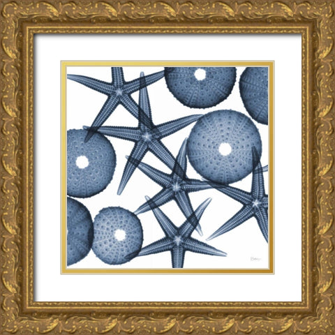 Collage of Starfish and Sea Urchins Gold Ornate Wood Framed Art Print with Double Matting by Koetsier, Albert