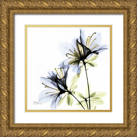 Blue Twin Azalea in Bloom Gold Ornate Wood Framed Art Print with Double Matting by Koetsier, Albert