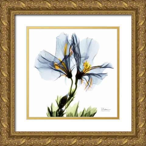 Blue Azalea in Bloom Gold Ornate Wood Framed Art Print with Double Matting by Koetsier, Albert