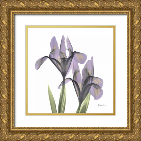 A Gift of Flowers in Purple Gold Ornate Wood Framed Art Print with Double Matting by Koetsier, Albert
