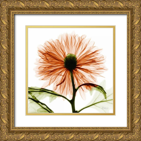 Chrysanthemum Gold Ornate Wood Framed Art Print with Double Matting by Koetsier, Albert