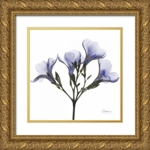 Crocuss in Purple Gold Ornate Wood Framed Art Print with Double Matting by Koetsier, Albert