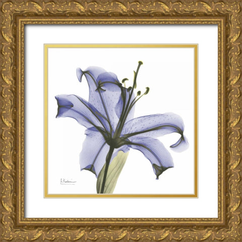 Lily in  Purple Gold Ornate Wood Framed Art Print with Double Matting by Koetsier, Albert