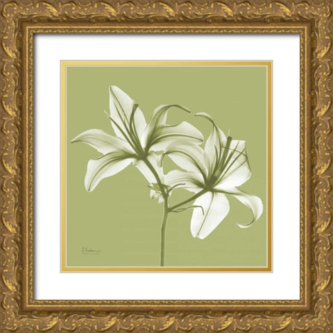 Twin Lilies on Pale Green Gold Ornate Wood Framed Art Print with Double Matting by Koetsier, Albert