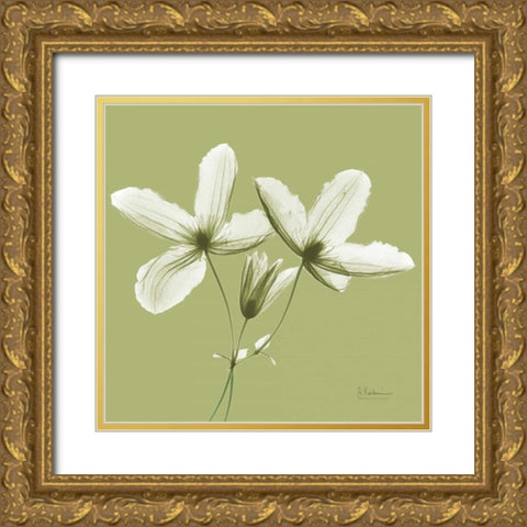 Twin Buds on Pale Green Gold Ornate Wood Framed Art Print with Double Matting by Koetsier, Albert