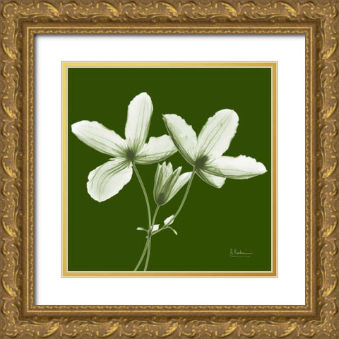 Twin Buds on Green Gold Ornate Wood Framed Art Print with Double Matting by Koetsier, Albert