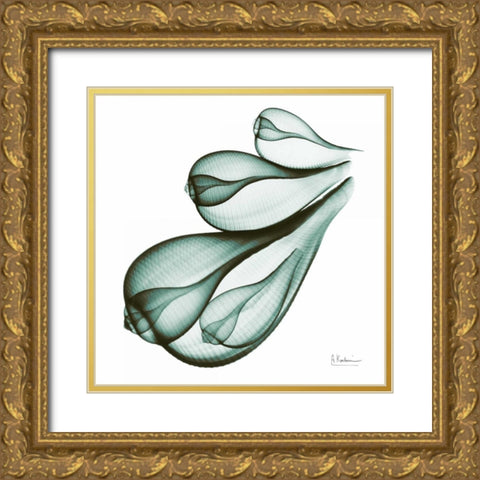 Sea Shells in Green Gold Ornate Wood Framed Art Print with Double Matting by Koetsier, Albert