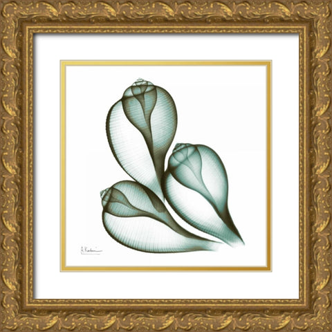 Sea Shells in Green 2 Gold Ornate Wood Framed Art Print with Double Matting by Koetsier, Albert