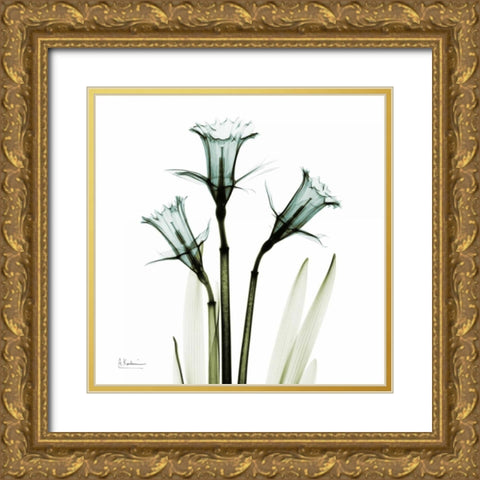 Three Daffodils in Green Gold Ornate Wood Framed Art Print with Double Matting by Koetsier, Albert