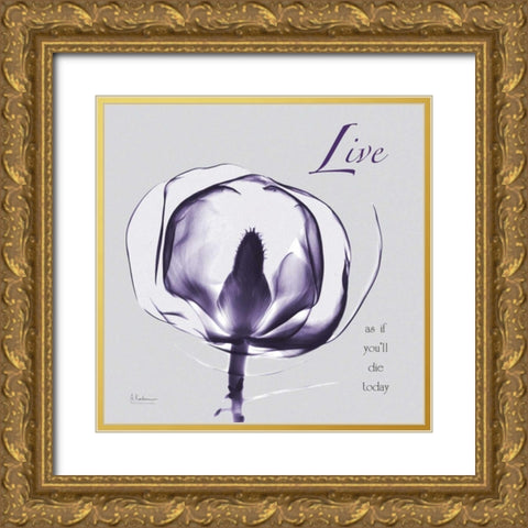 Plum Magnolia Live Gold Ornate Wood Framed Art Print with Double Matting by Koetsier, Albert