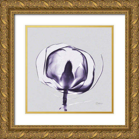 Purple Tulip Bud Open on Purple Gold Ornate Wood Framed Art Print with Double Matting by Koetsier, Albert