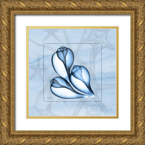 Triplet Shells on Blue Gold Ornate Wood Framed Art Print with Double Matting by Koetsier, Albert